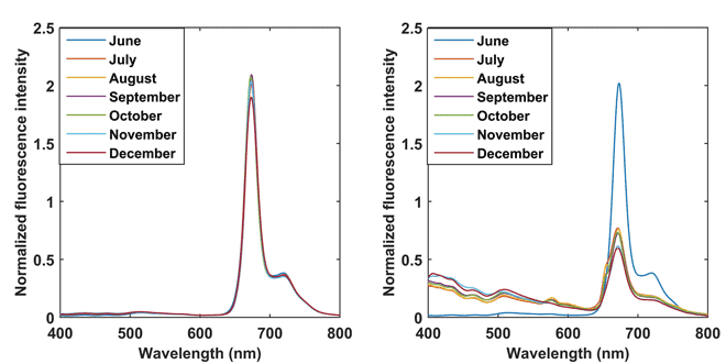 fluorescence spectroscopy figure 1