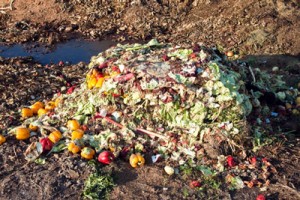 g20-food-waste