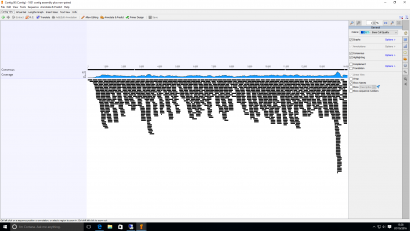 Figure 1: A small portion of a genome assembled from raw sequence reads. Each of the small black bars represents one sequence approximately 500 bases long.