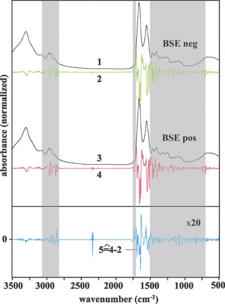 lasch Figure 1