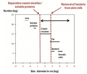 Figure 1 Approximate particle sizes of milk constituents for which separation by means of membrane filtration