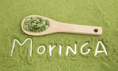 moringa1