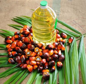 palm-oil