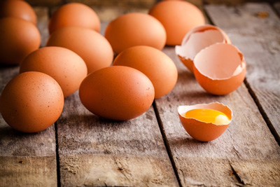 Salmonella risk reduced in eggs