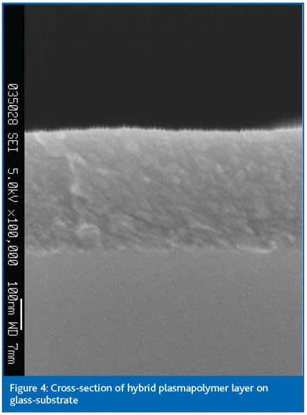 paulussen figure 4