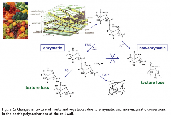 roeck figure 1