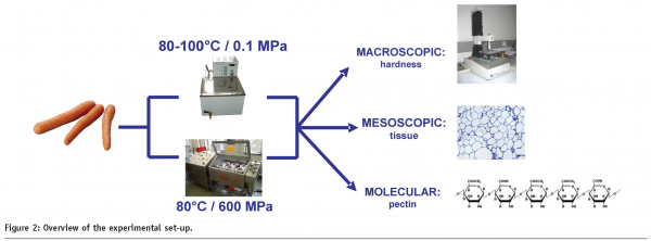 roeck figure 2