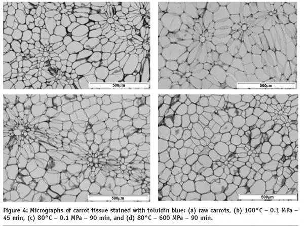 roeck figure 4