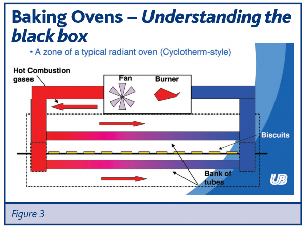 rolston figure 3