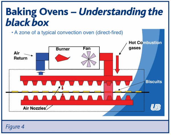 rolston figure 4