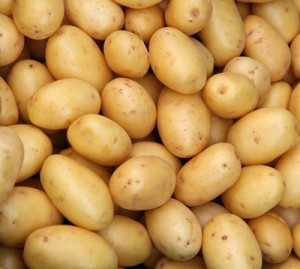 sainsbury's-potato recall