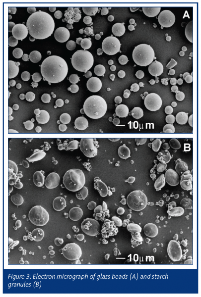 scalnlon figure 3