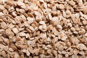 seedworks-india