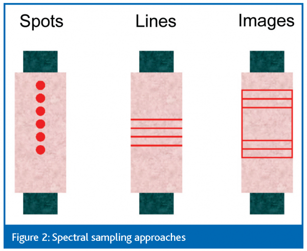 segtnan figure 2