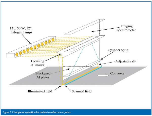 segtnan figure 3