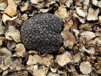 truffles