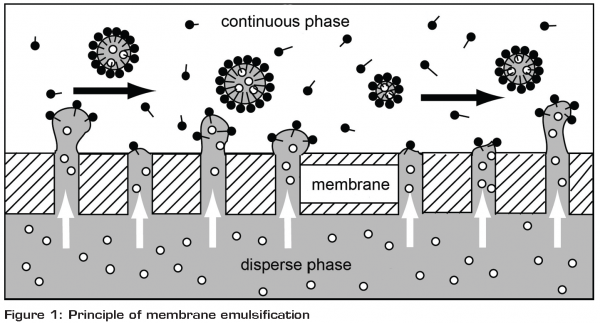 Technique Thursday: What Is Emulsification?