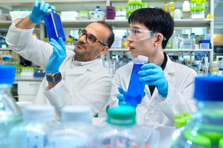 Cornell scientists develop algae-based blue dye to replace synthetic food colourants