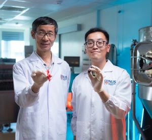 Researchers in Singapore have developed two natural methods for carob flavour enhancement, improving its suitability for coca-free chocolate alternatives.
