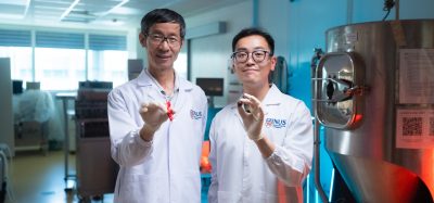 Researchers in Singapore have developed two natural methods for carob flavour enhancement, improving its suitability for coca-free chocolate alternatives.