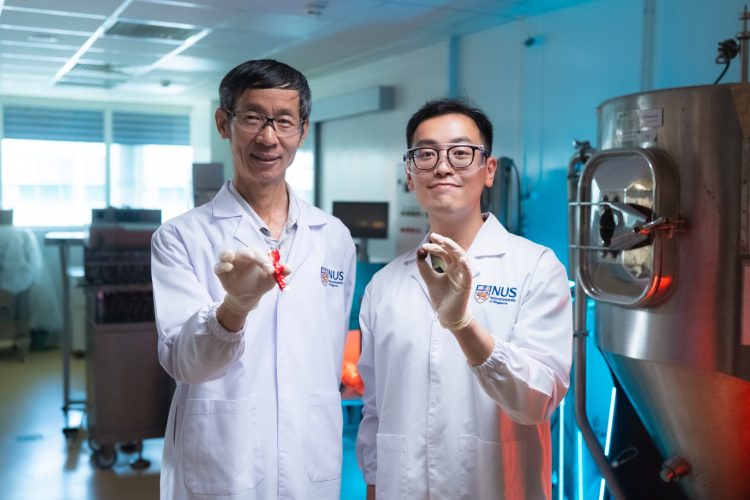 Researchers in Singapore have developed two natural methods for carob flavour enhancement, improving its suitability for coca-free chocolate alternatives.