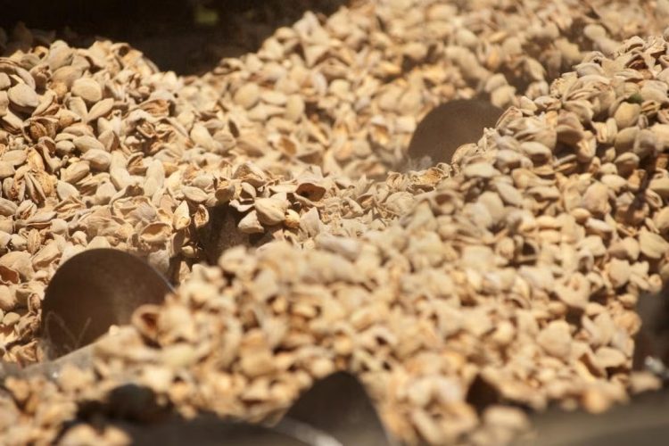 New UC Davis tool helps industry upcycle food byproducts and reduce waste