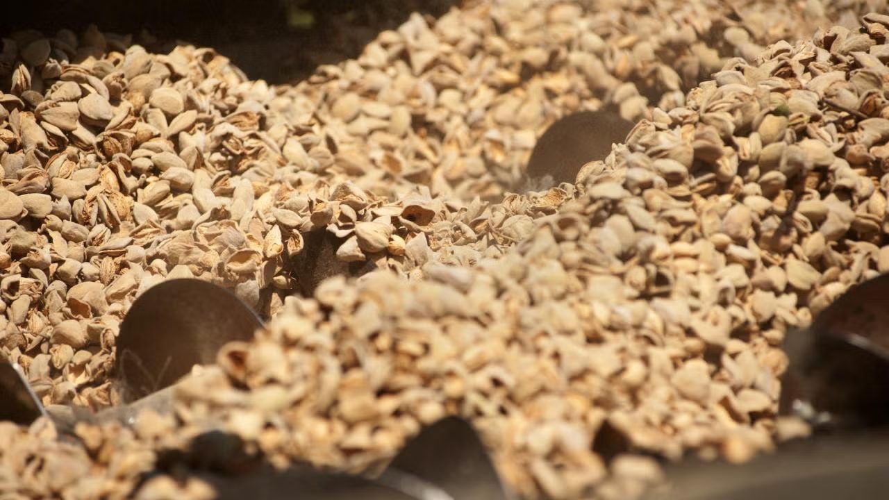 New UC Davis tool helps industry upcycle food byproducts and reduce waste