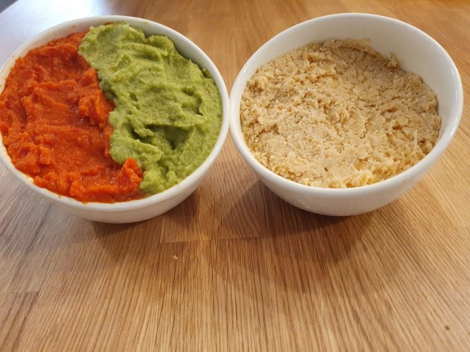 3D-printed salmon purées (left) compared to regular puree (right)