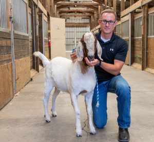 Washington State University sire goat