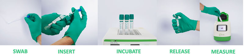 The five steps showing swabbing and incubation