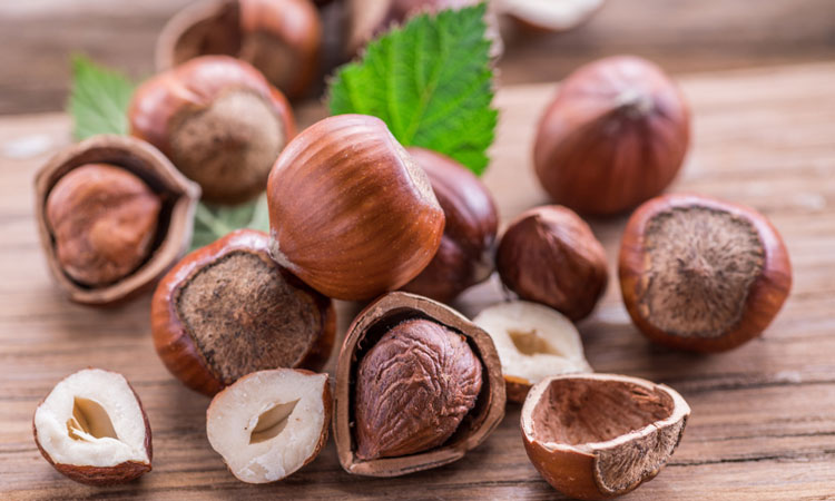 hazelnuts