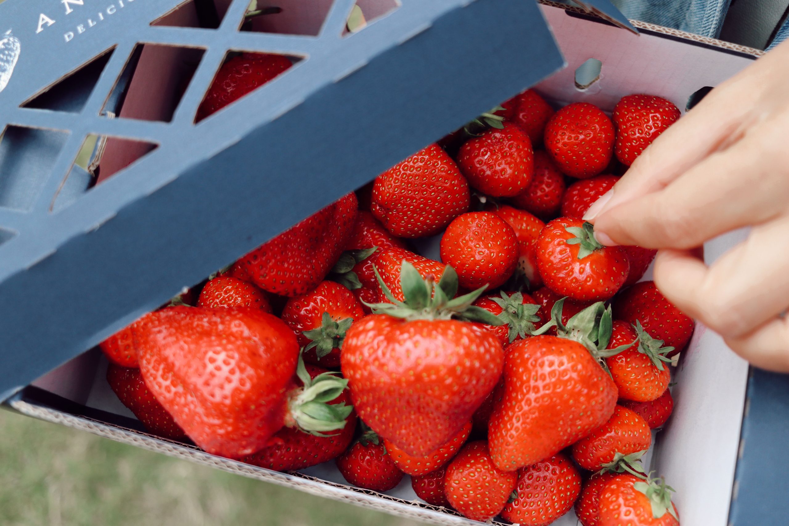 ABD strawberries