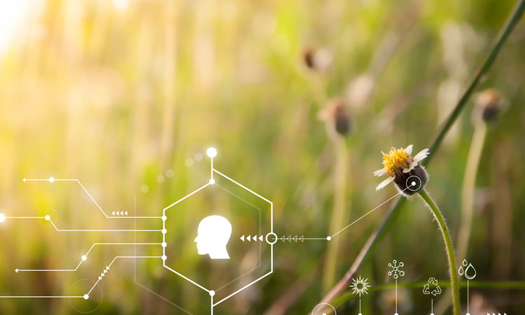 AI for preventative action