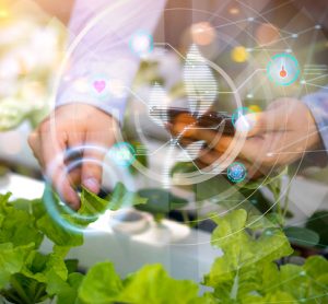 Network of AI centres to be built across US to accelerate agrifood research
