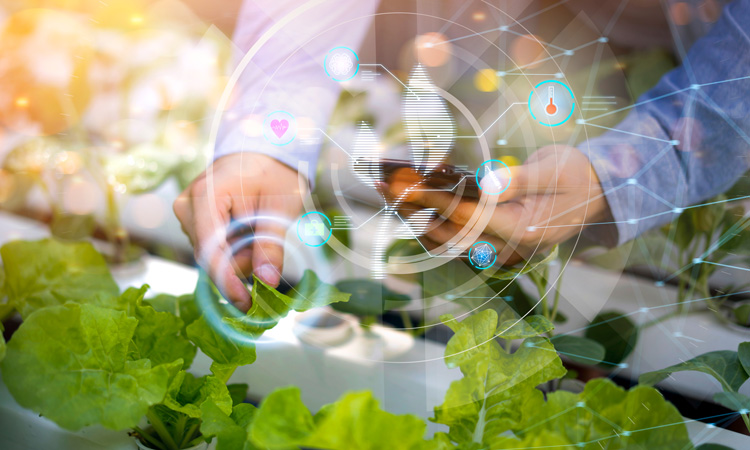 Network of AI centres to be built across US to accelerate agrifood research