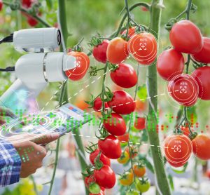 FAO signs ethical resolution on AI-food applications