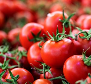 Alternaria mycotoxins in tomatoes