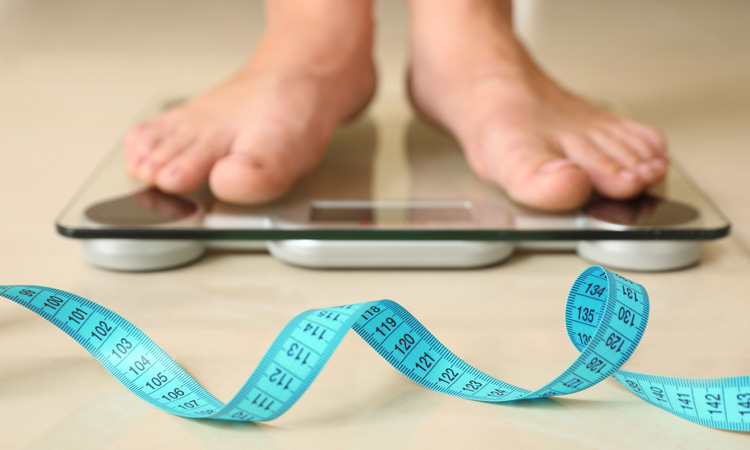 Study analyses relationship between body size and global calorie demand