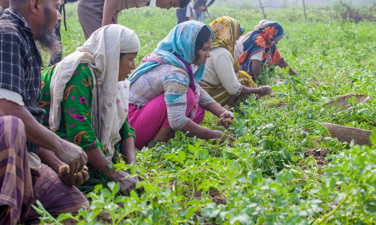 Reducing malnutrition and food waste in Bangladesh