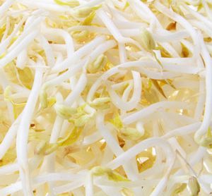 Bean sprouts