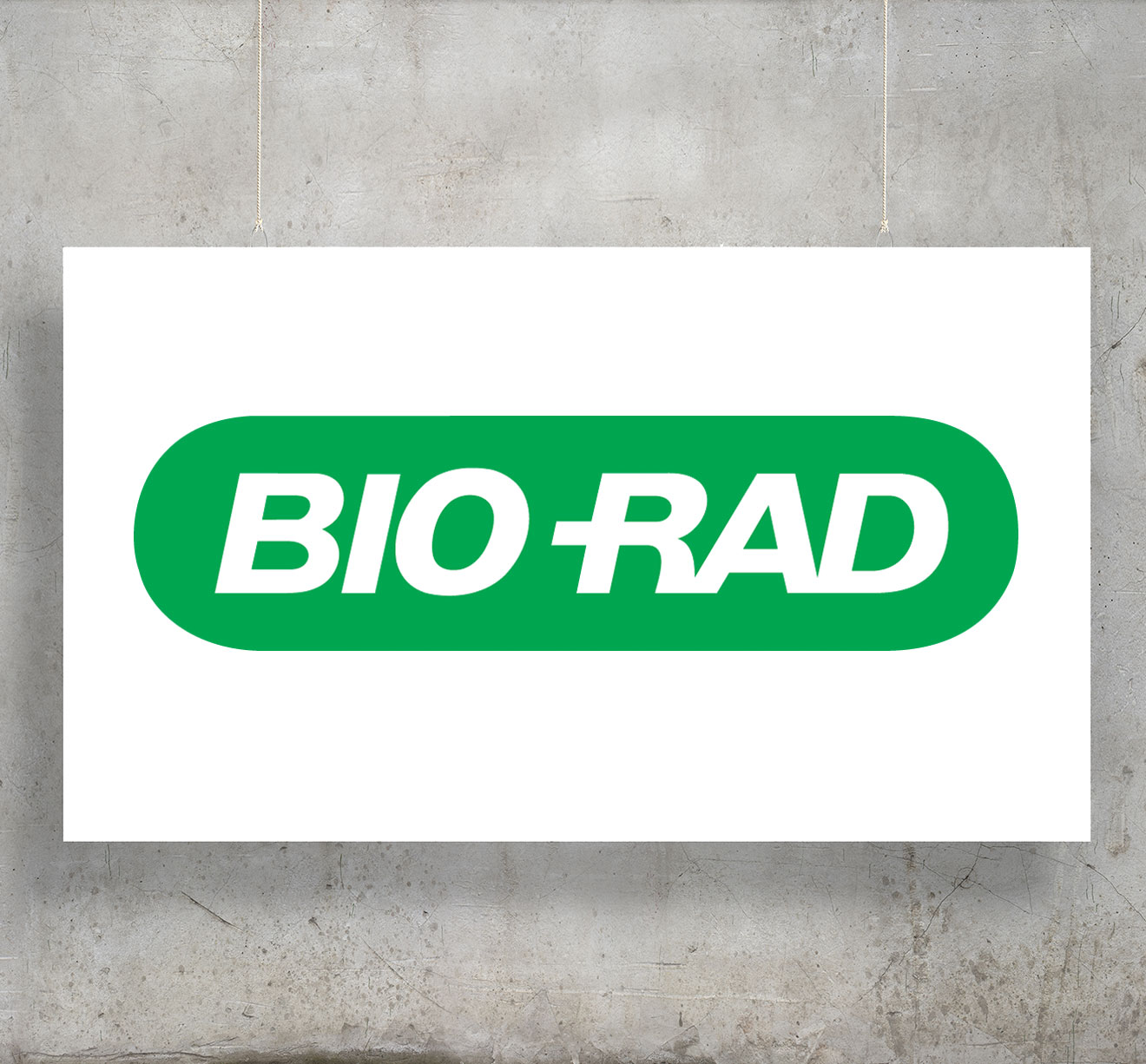 Bio-Rad Laboratories