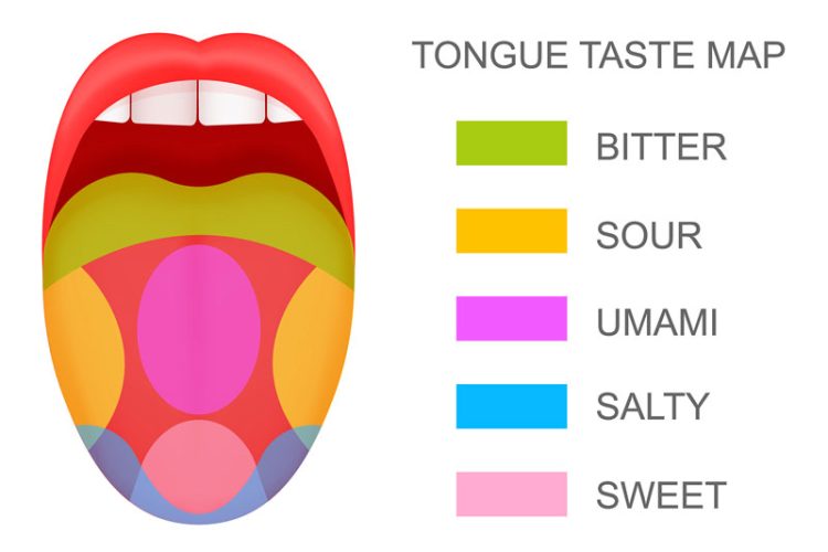 Tongue taste map