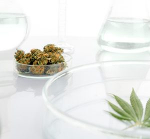 Is CBD and alkaline water the perfect combo?