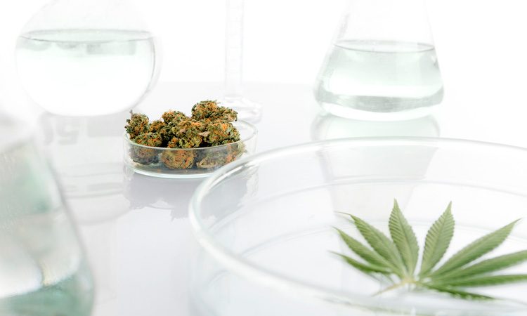 Is CBD and alkaline water the perfect combo?