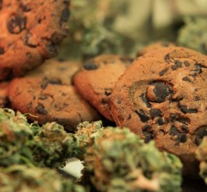 Understanding cannabis and CBD edible testing