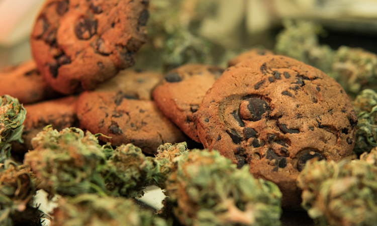 Understanding cannabis and CBD edible testing