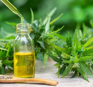 FSA calls for clearer information of CBD products