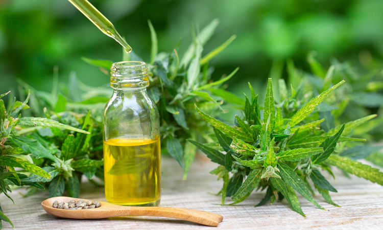 FSA calls for clearer information of CBD products