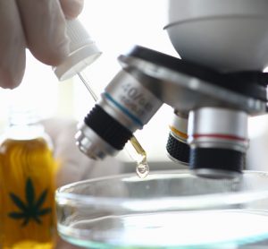 Industry body in talks with LGC to standardise cannabinoid testing