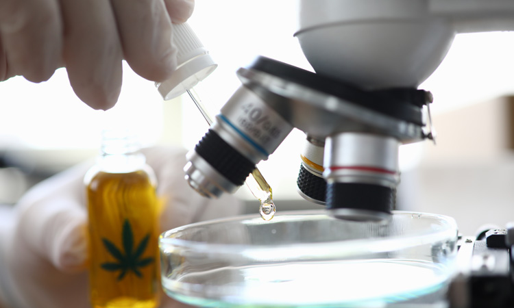Industry body in talks with LGC to standardise cannabinoid testing